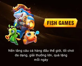Hỗ trợ 24/7 C54777
